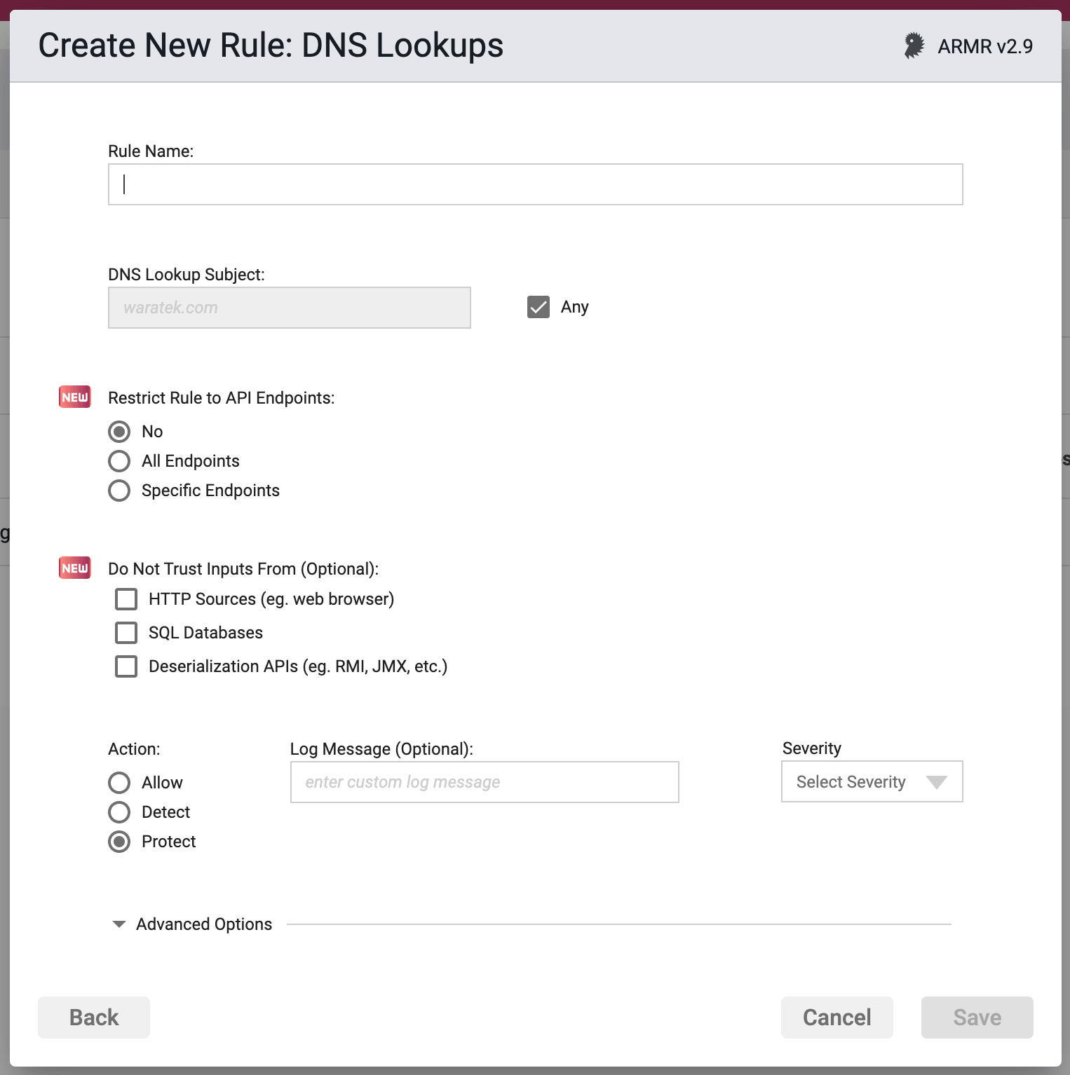 Screenshot of the Rule Options section in the DNS Lookups Rule Wizard